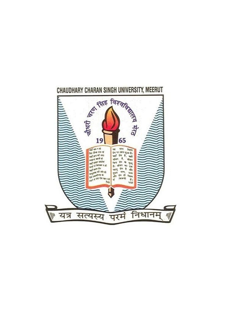 Subharti University